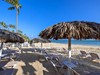 WHALA!BAVARO #5